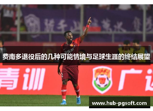 费南多退役后的几种可能情境与足球生涯的终结展望 费南多退役后的几种可能情境与足球生涯的终结展望
