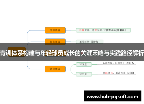 青训体系构建与年轻球员成长的关键策略与实践路径解析